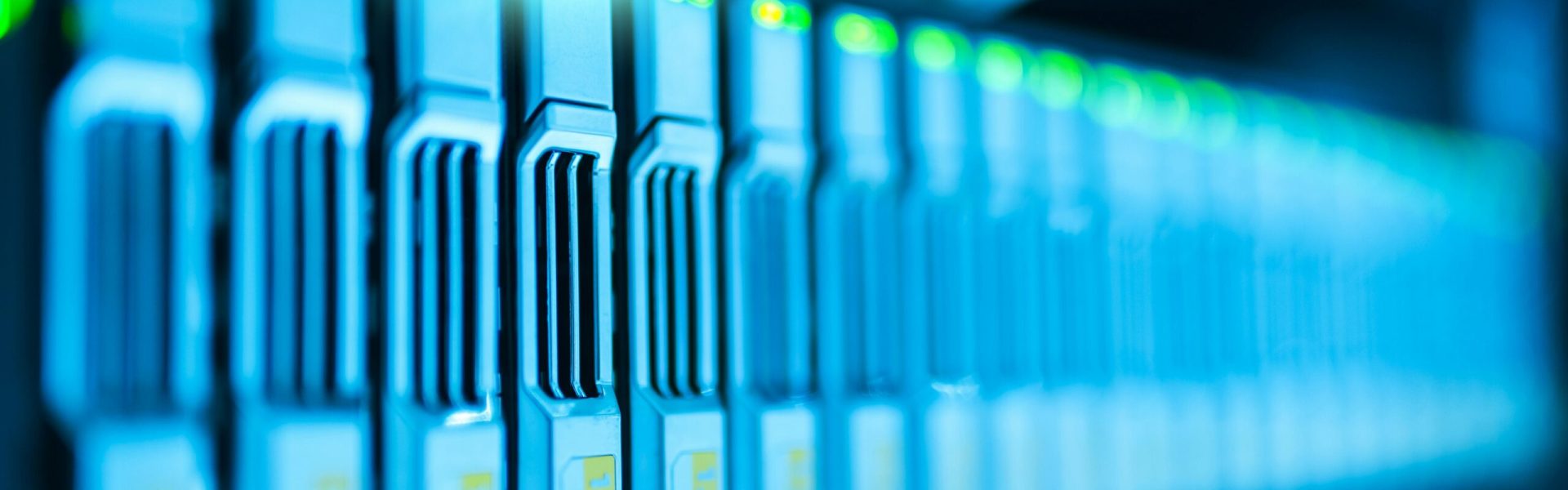 pexels-cookiecutter-1148820